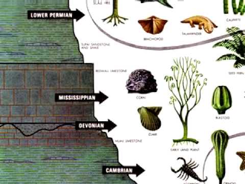 Menschen sind keine Tiere!
