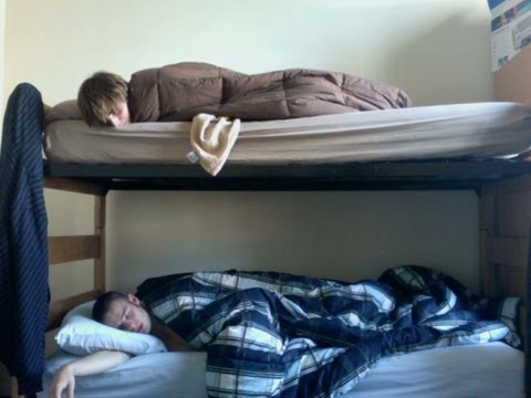 Nerviger Zimmergenosse