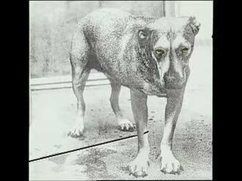 Kampf der Albencover