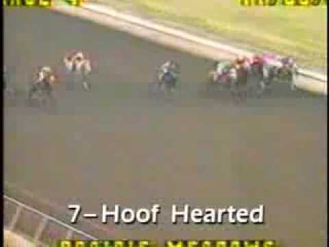 Ich war’s nicht! Ich schwör’s!