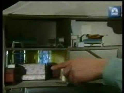 Brittain’s next Topmodel