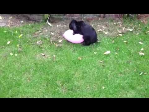 Poppend ins Wochenende