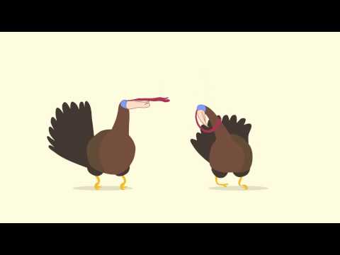 Nonsense: Turkey Dubstep