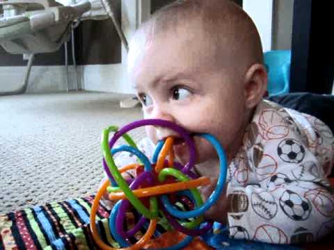 Hund zeigt Baby wie man kaut