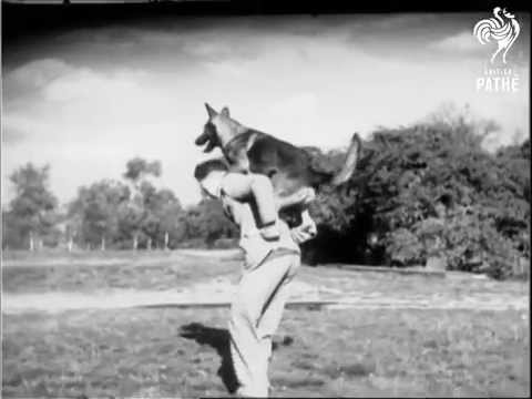 Hundehochsprung in den 30er Jahren