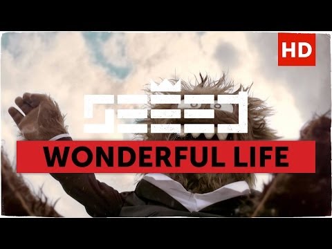 Seeed – Wonderful Life