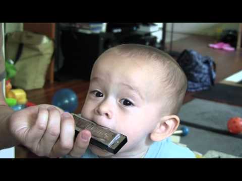 Die nächste Mundharmonika-Legende!