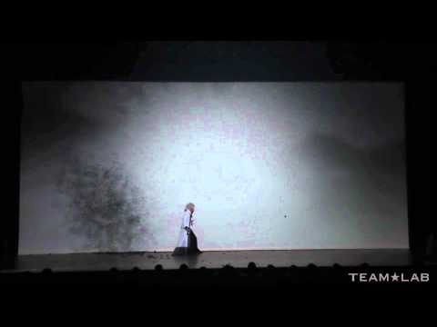 Samurai kämpft gegen seinen Schatten