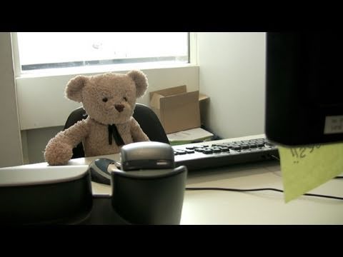 Misery Bear geht zur Arbeit