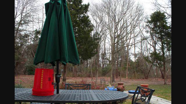 Nächtlicher Blizzard-Schneefall im Zeitraffer