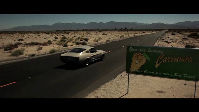 Die rasante Jagd nach dem Hasen