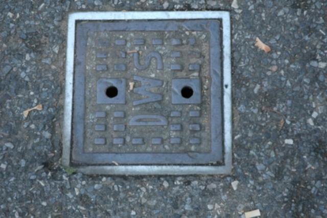 The Lost Tribes of New York City