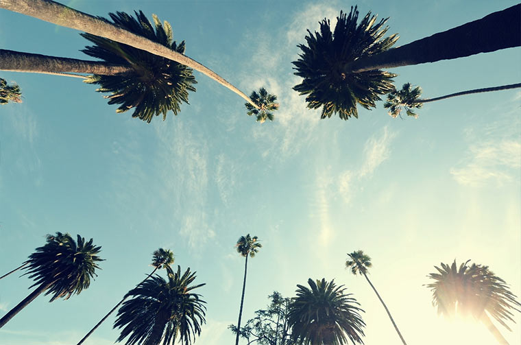 Fotografie: drei Monate USA