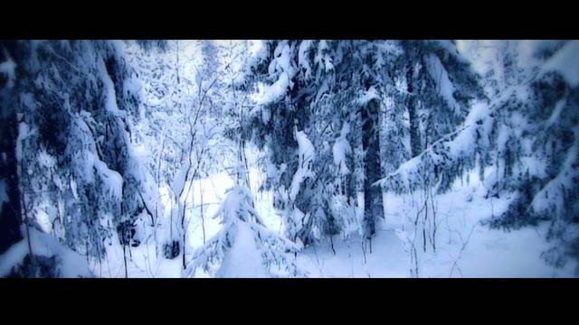 Der schwedische Winter