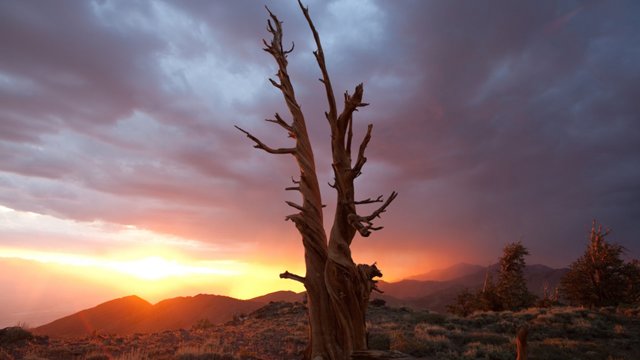 Timelapse Sternenhimmel