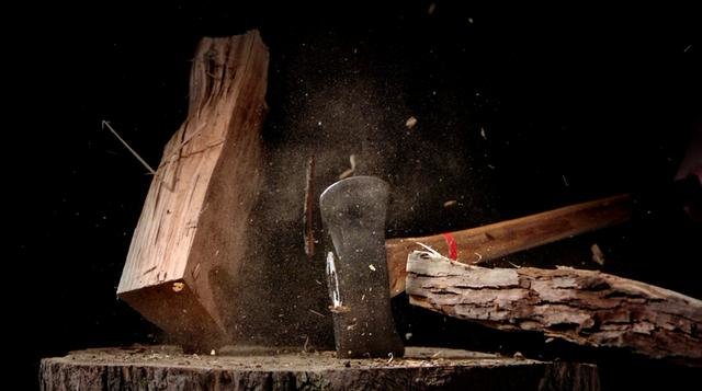 Reverse Holzhackslowmotion