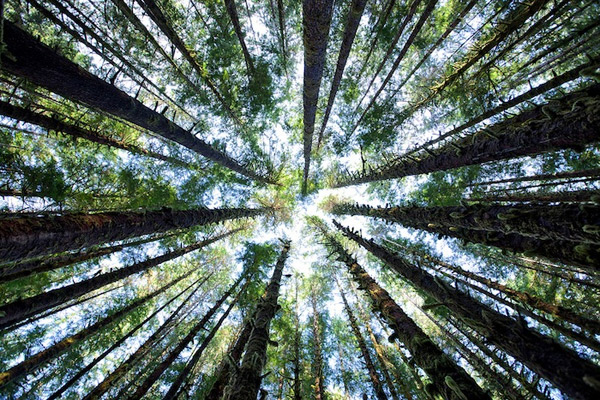 Fotografie: Aaron Reed