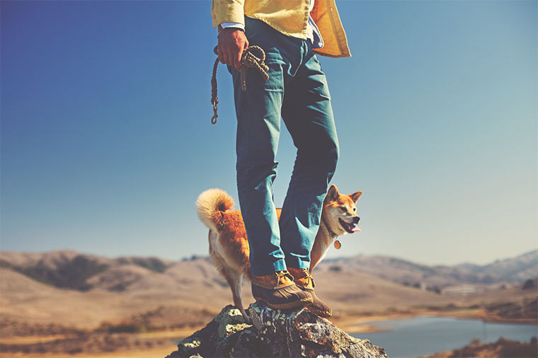 Fotografie: Alex Farnum