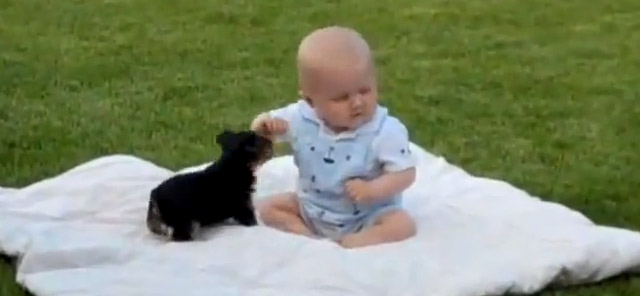 Supersweet: Baby und Hundewelpe