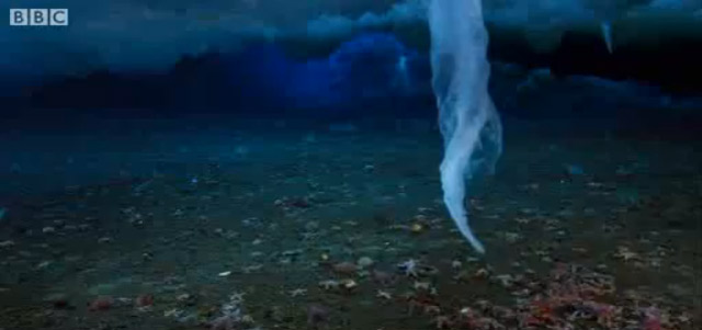 Der eiserne Todesfinger Gottes