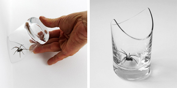 Das ideale Spinnenfangglas