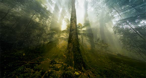 Fotografie: Drew Hopper