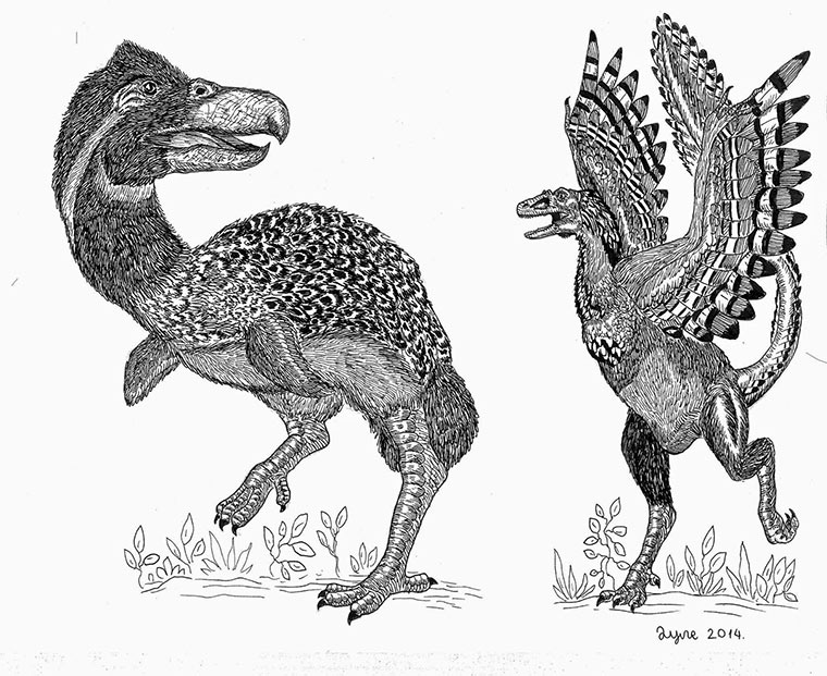 Zeichnungen: Dušan Krtolica