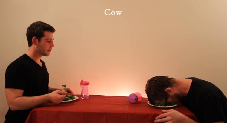 Wie Tiere ihr Essen essen