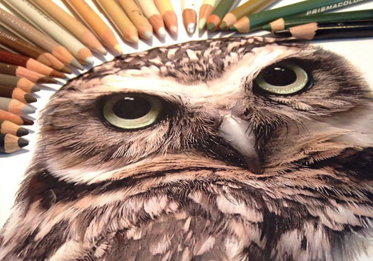 realistische Zeichnungen: Karla Mialynne