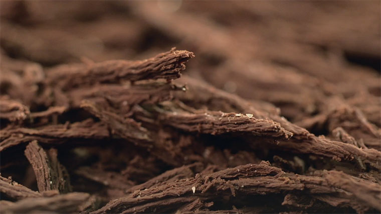 Videoportait eines Chocolatiers