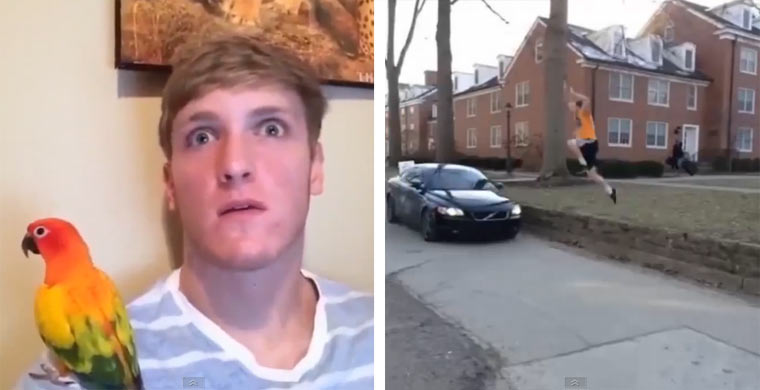 Vine-Compilation: Logan Paul
