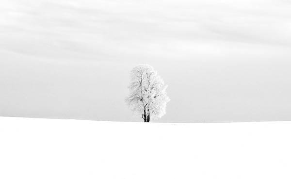 Fotografie: Mathieu Piranda