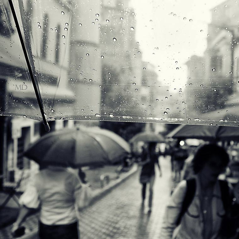 Fotografie: Mustafa Dedeoglu