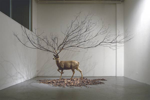Surreale Kunstinstallationen: Myeongbeom Kim