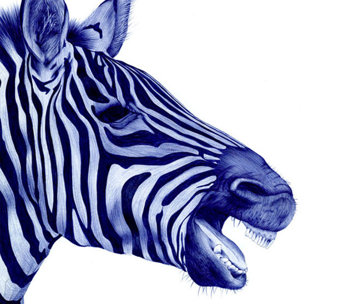 Kugelschreiberzeichnungen von Sarah Esteje