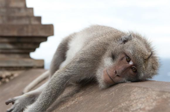 Fotografie: Shawn Parkin