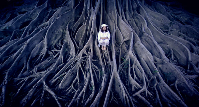 kuriose Timelapse-Stimmungskunst: Sparkly