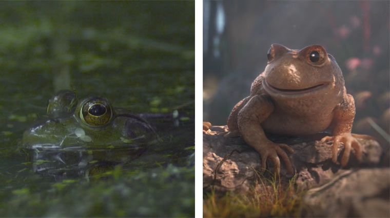 Frösche: animiert und in Slowmotion
