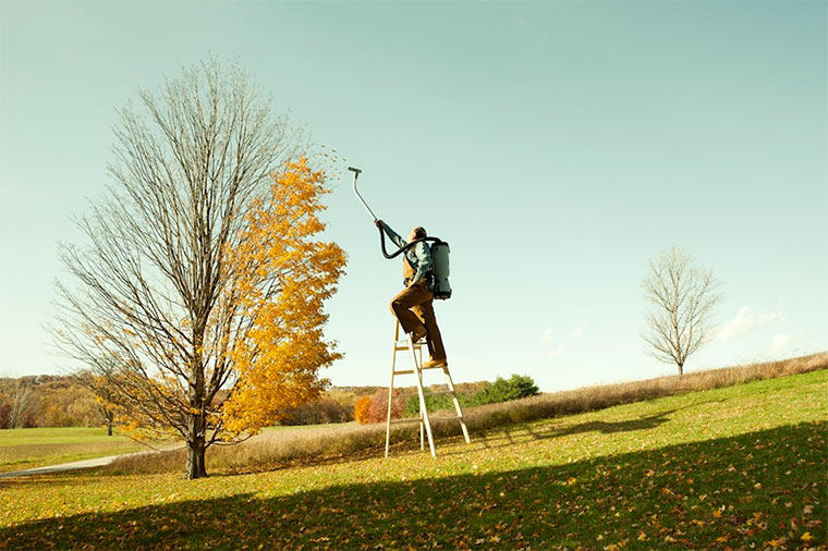 Fotografie: Zack Seckler