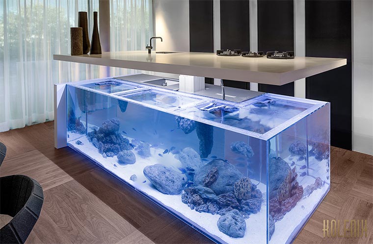 Aquarium-Küchenzeile aquarium-kitchen_031 