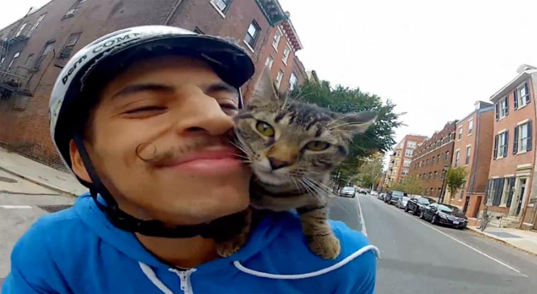 Sweet: Fahrradfahrt mit Katzenschmusereien