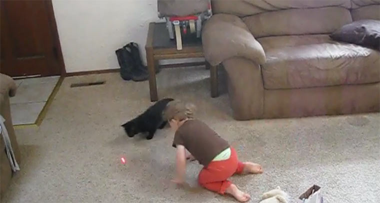 Kleinkind hilft Katze bei Laserpoint-Jagd