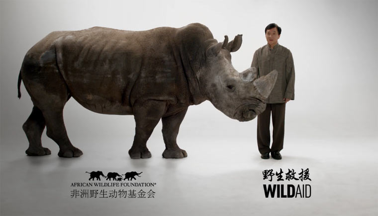 Jackie Chan vs. Nashornwilderer