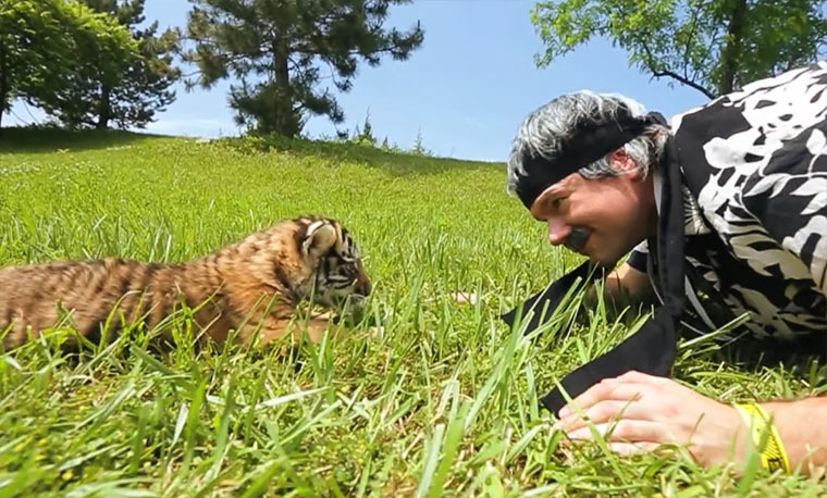 ColossalCon Cosplay 2014