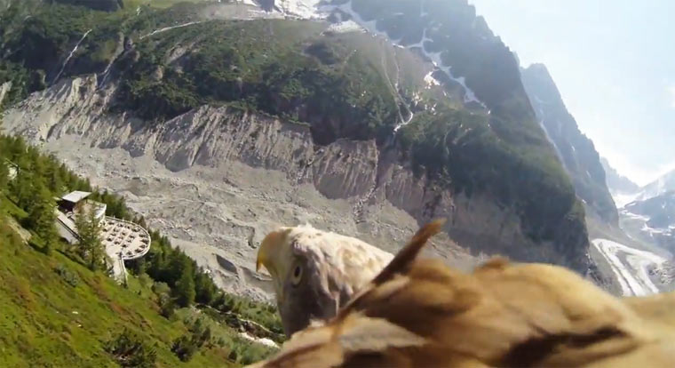 Fliegen aus der Sicht eines Adlers