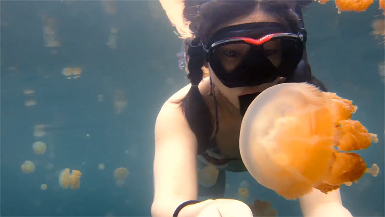 Das Mädchen und die Quallen