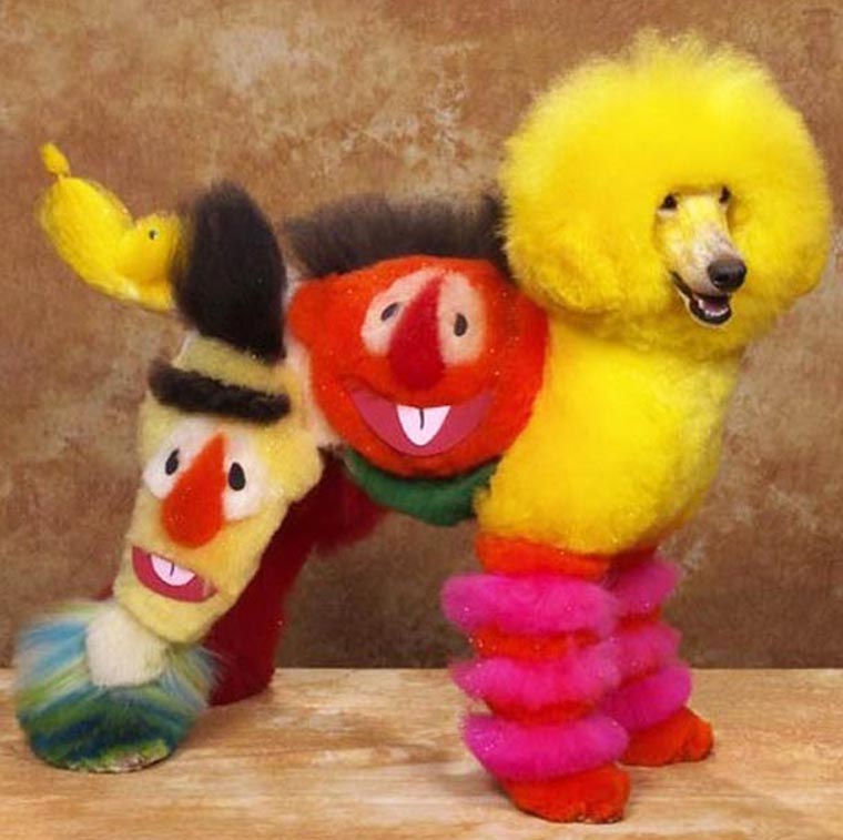 Schrecklich absurd: Cosplay für Hunde