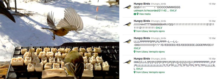 Echte twitternde Vögel