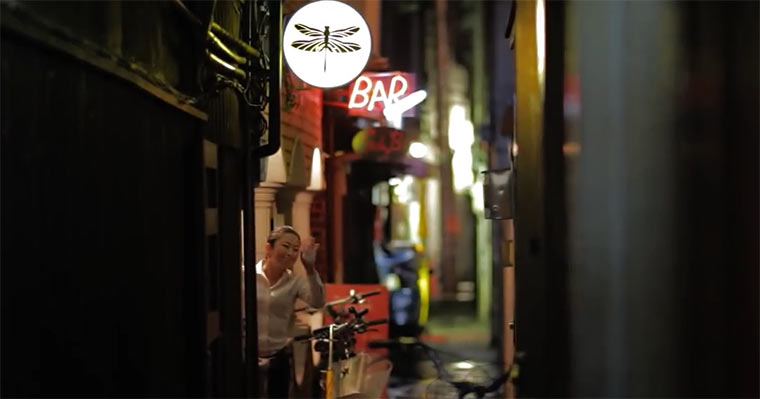 Japan im Videoportrait