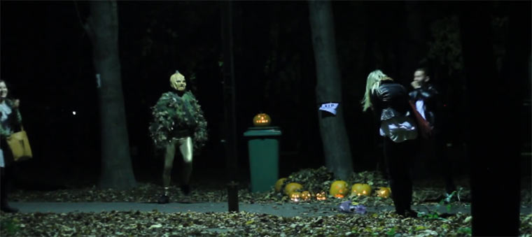 Der tanzende Laubhaufenerschrecker